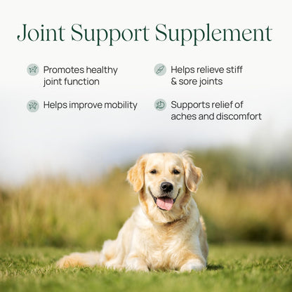 pawTree Joint & Hip Support Supplement for Dogs & Cats with Glucosamine, Chondroitin, MSM, Tumeric