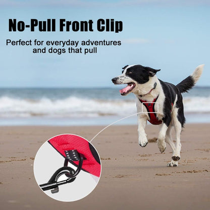 PoyPet No Pull Dog Harness, Reflective Comfortable Vest Harness with Front & Back 2 Leash
