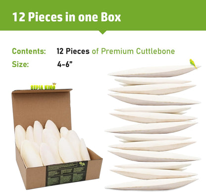 Medium - 100% Natural Calcium Supplement - Premium Cuttlebone Perfect for Birds, Tortoises, Snails