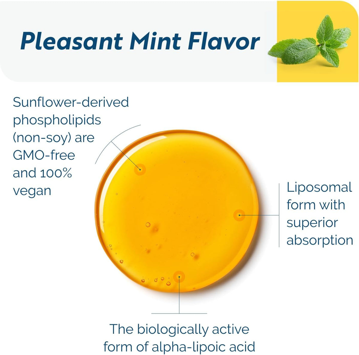 Researched Nutritionals C-RLA - Liposomal Vitamin C with R Lipoic Acid to Support Detox - Vegan &