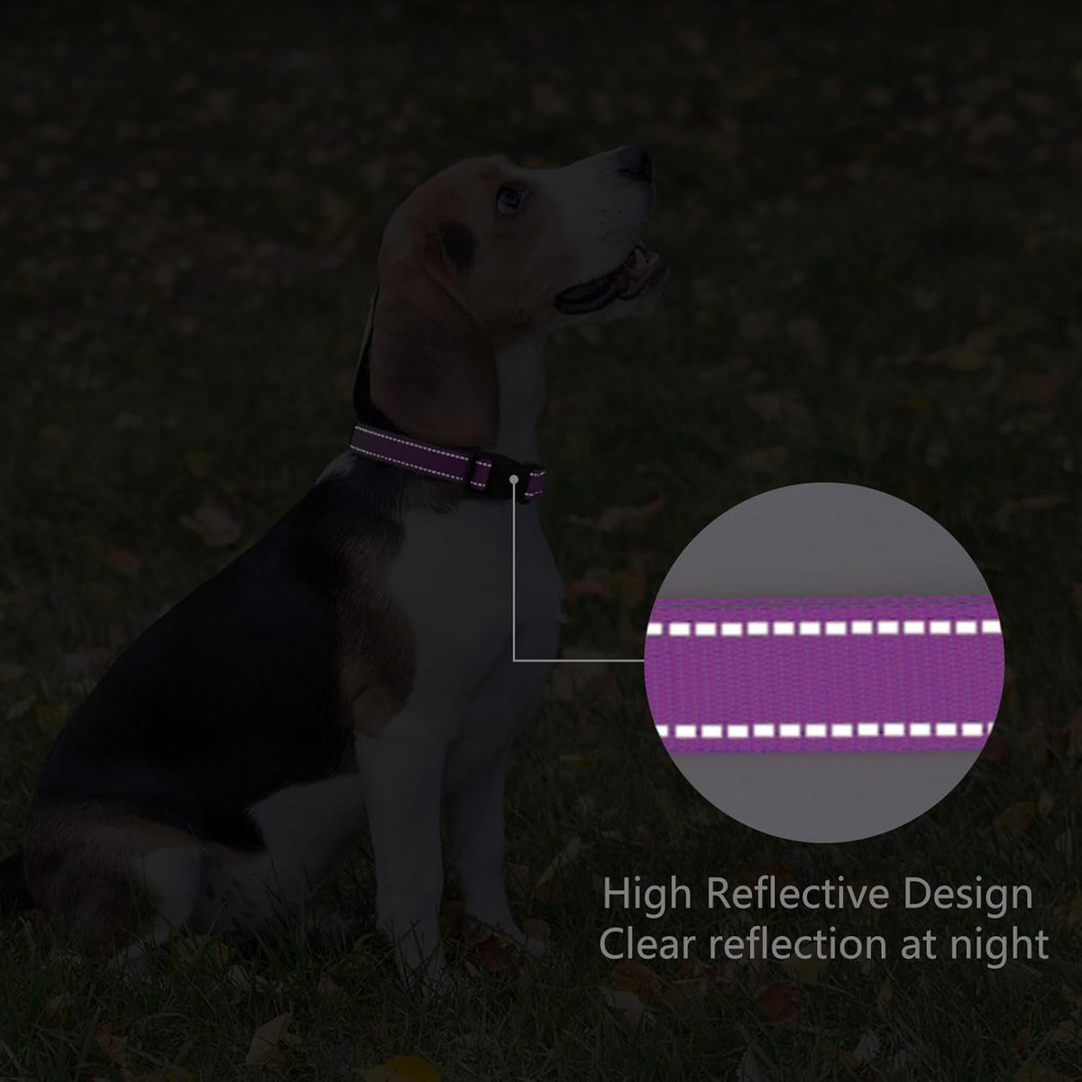 Reflective Dog Collar Padded with Soft Neoprene Breathable Quick Release Basic Dog Collars for