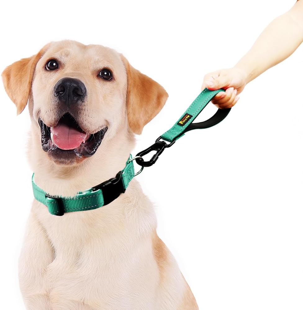 PLUTUS PET Short Dog Leash, Reflective Nylon Padded Handle, Strong Traffic Leash with Carabiner