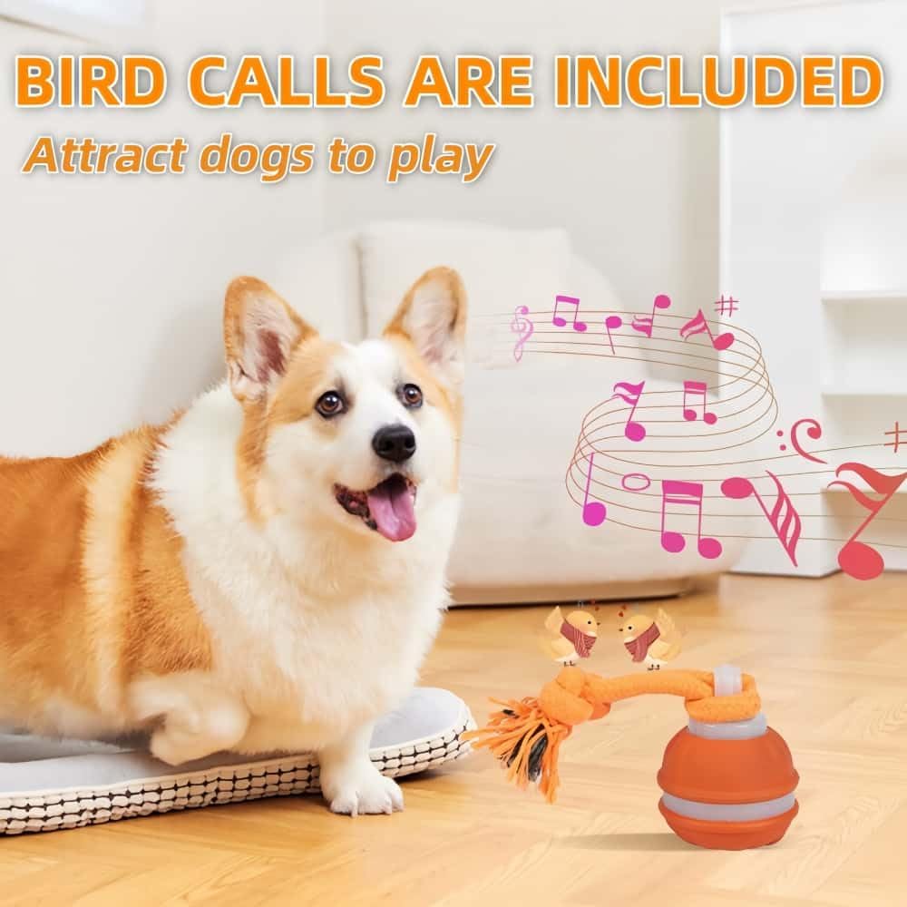 Interactive Dog Toys, Squeaky Dog Toys, Active Rolling Ball for Puppy and Medium Dogs, Squeaky, USB