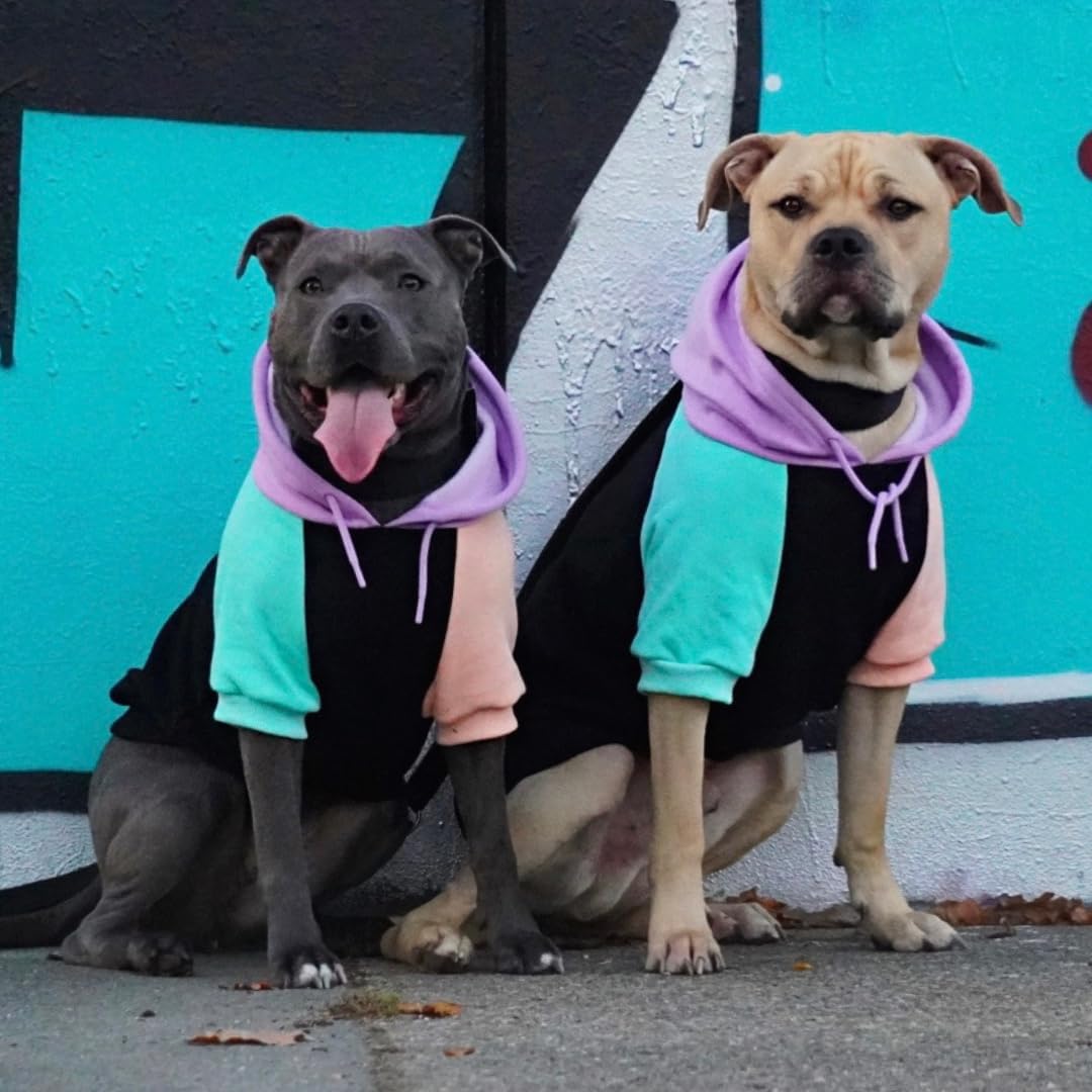 Spark Paws Dog Hoodie – Premium Dog Sweater for Small, Medium, and Large Dogs | Warm Outfits for
