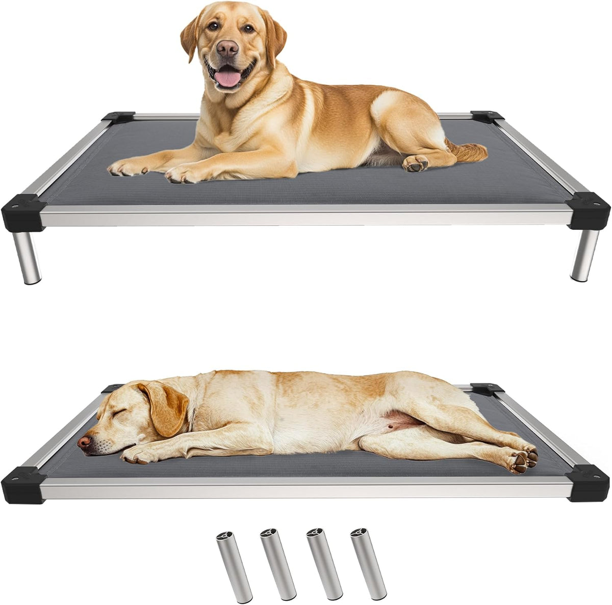 FXW TitanNest Chew-Proof Elevated Dog Bed, Raised Cot for Indoor/Outdoor/Camping Use, Durable &