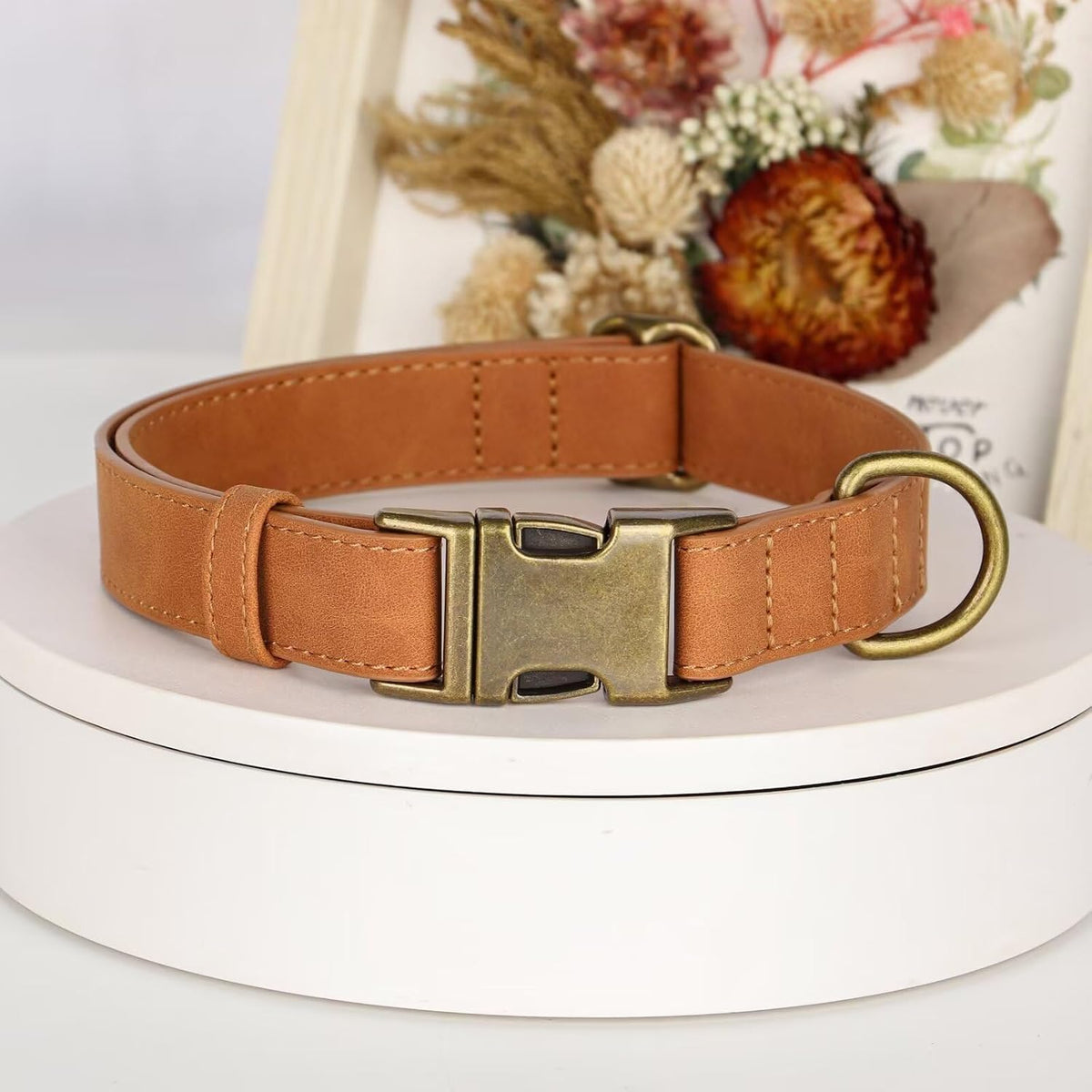 Didog Soft PU Leather Dog Collar, Stylish Quick Released Dog Collars for Medium Dogs, Easy Clean