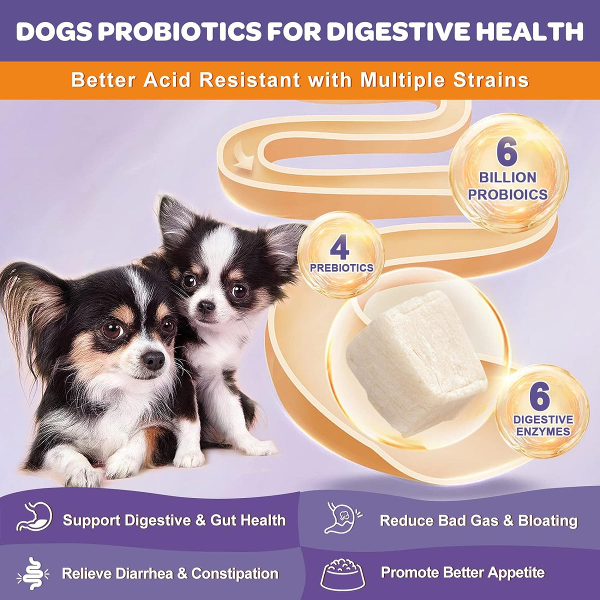 NATURE TARGET Probiotics for Dogs, 6 Billion Freeze Dried Dog Probiotics with Prebiotics & Enzymes