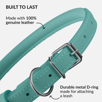 CollarDirect Rolled Leather Dog Collar, Soft Padded Round Puppy Collar, Handmade Genuine Leather