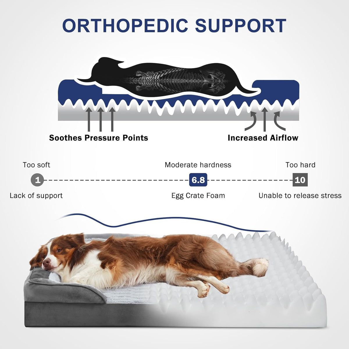 FURTIME Orthopedic Small Dog Beds - Waterproof Ultra Comfy Supportive Foam Pet Couch with Removable