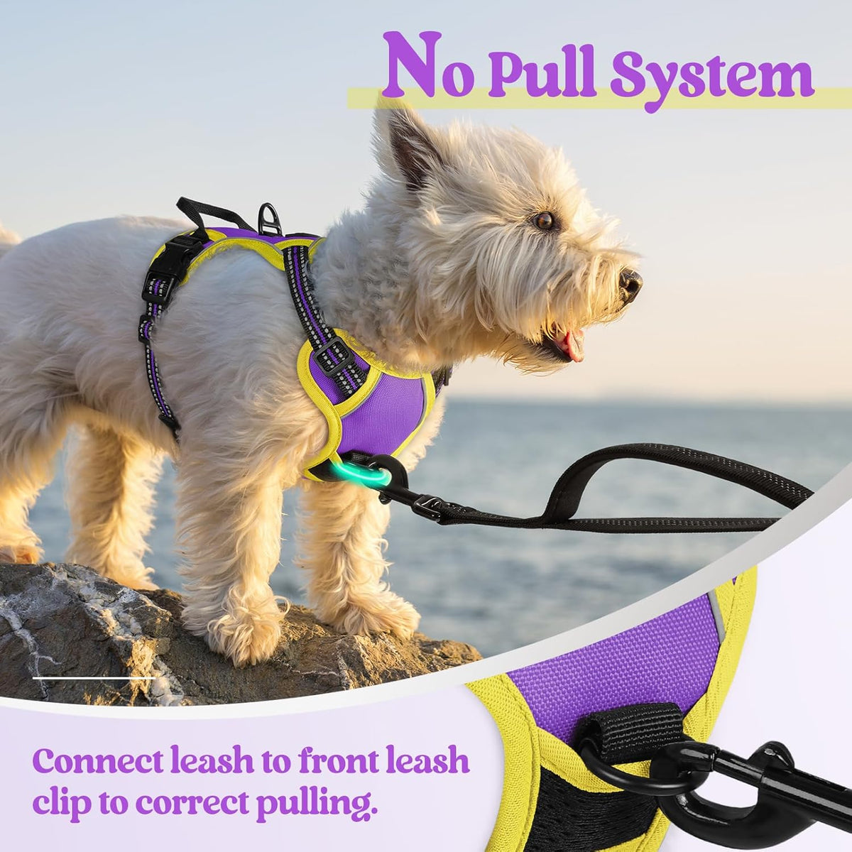 rabbitgoo Dog Harness No Pull with 2 Leash Clips, Adjustable Soft Padded, Reflective Oxford No