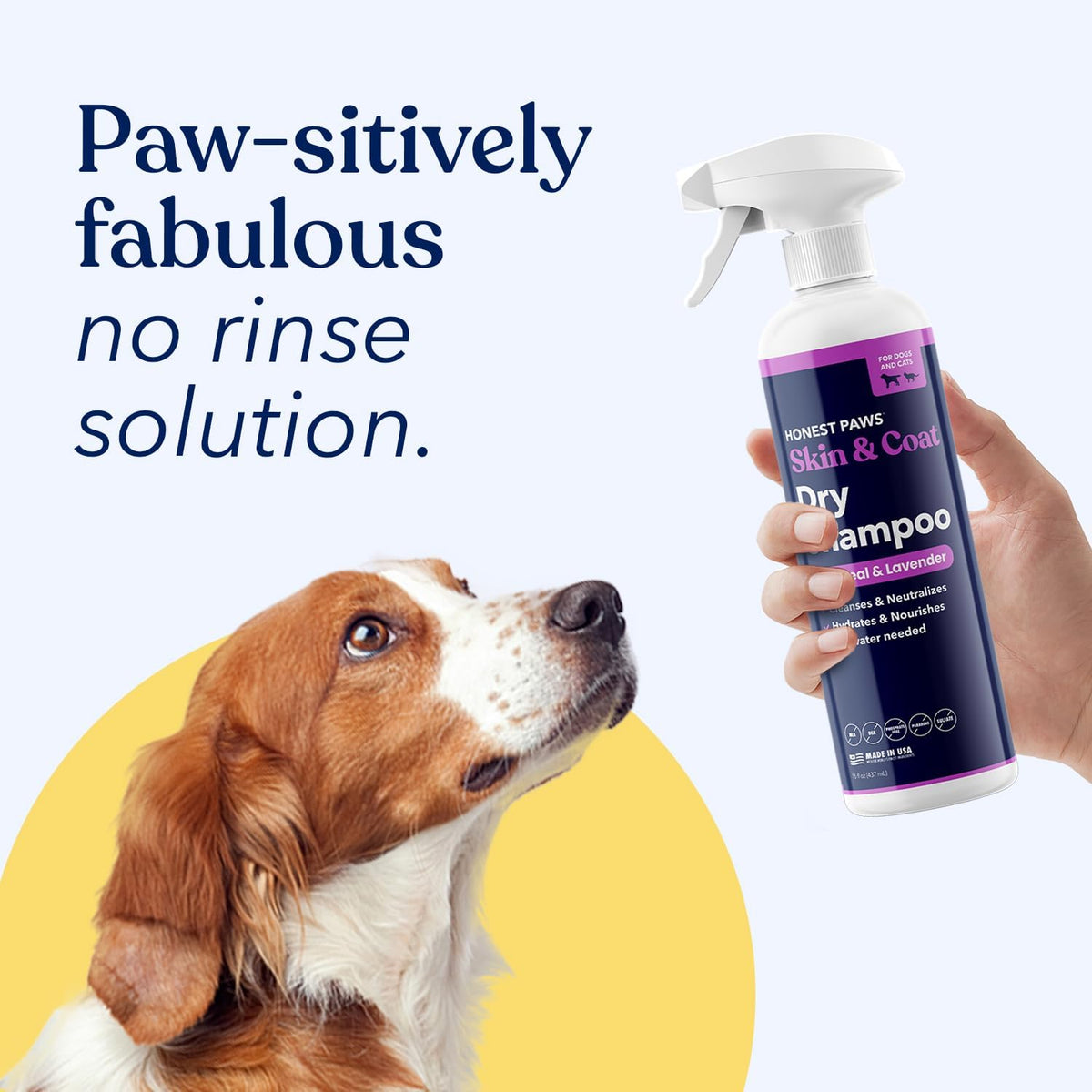 Honest Paws Dog Dry Shampoo - Waterless No Rinse Foaming Formula Reducing Itch Cleanse Hydrate