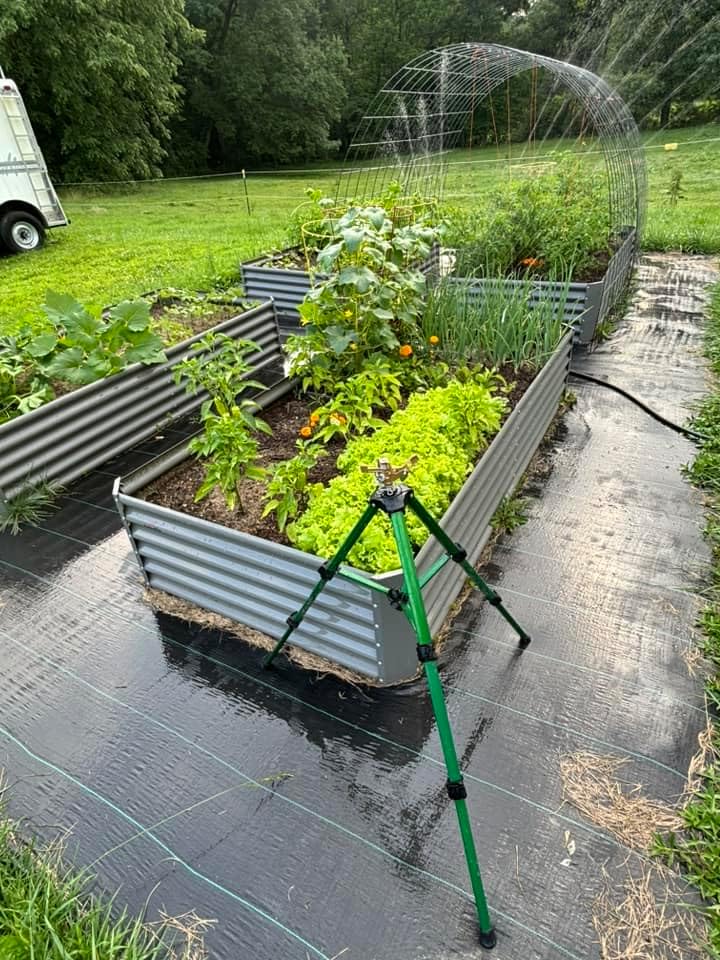 A ANLEOLIFE 8X4X1.5ft Galvanized Raised Garden Bed Kit, Rectangular Large Metal Deep Root Planters