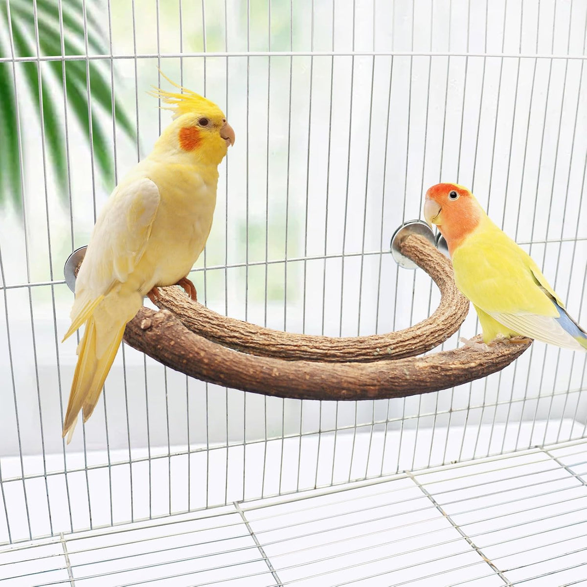 2 Pack Bird Perch Stand, Natural Wood U Shape Parrot Stand Pole, Bird Cage Accessories, Suitable