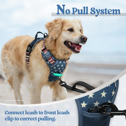 rabbitgoo Dog Harness No Pull with 2 Leash Clips, Adjustable Soft Padded, Reflective Oxford No