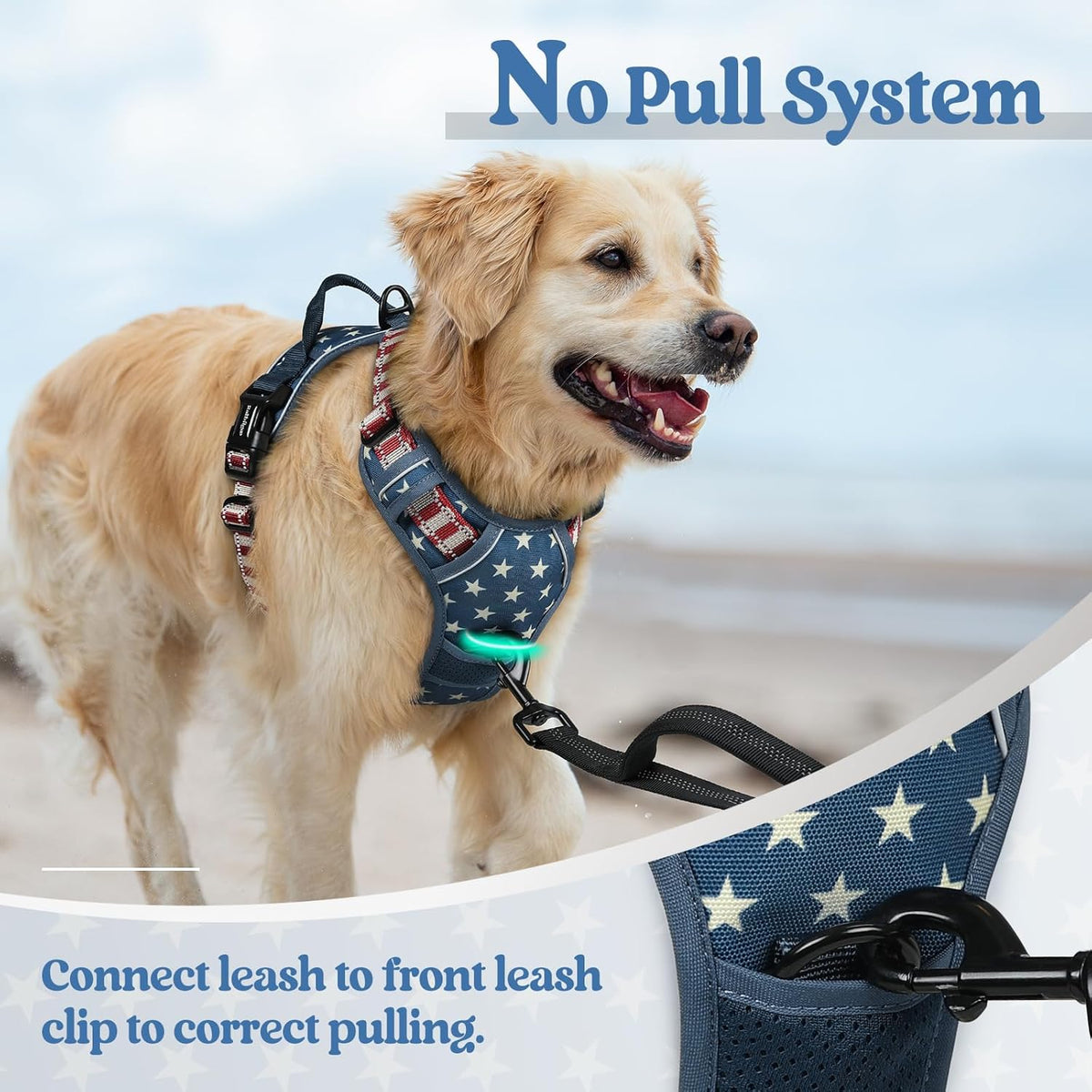 rabbitgoo Dog Harness No Pull with 2 Leash Clips, Adjustable Soft Padded, Reflective Oxford No