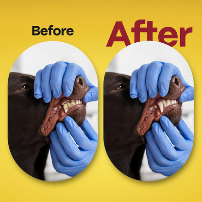 DOCO Dog Teeth Cleaning Wipes Dental Finger Wipes for Cats & Dogs Remove Plaque & Tartar, Freshen