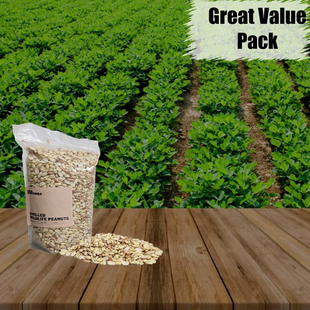 Old Potters Wildlife Shelled Peanuts, 10 lbs for Birds, Squirrels, and Wildlife. USA Grown Non-GMO