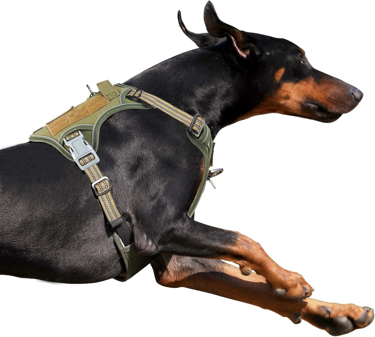 BUMBIN Tactical Dog Harness for Large Dogs No Pull, Famous TIK Tok No Pull Dog Harness, Fit Smart