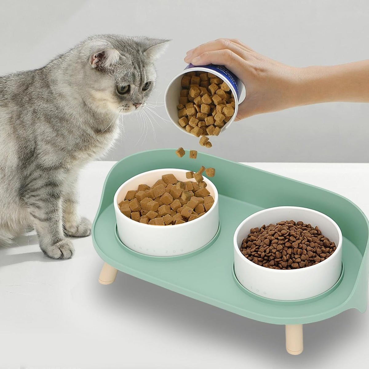 Elevated Dog Bowls Set, Ceramic Pet Food & Water Bowls with Non-Slip Stand, No Spill Design for