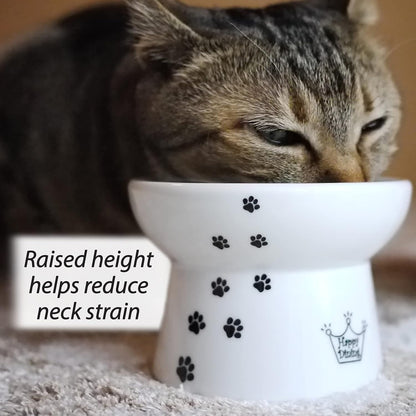 Necoichi Raised Stress Free Cat Food Bowl, Elevated, Backflow Prevention, Dishwasher and Microwave