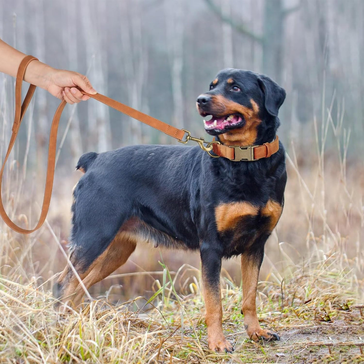 Didog Soft PU Leather Dog Collar, Stylish Quick Released Dog Collars for Large Dogs, Easy Clean