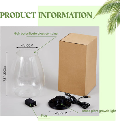 Maxdot Glass Plant Terrarium Kit with Light for Succulent, Moss, Miniature Gardening Landscape