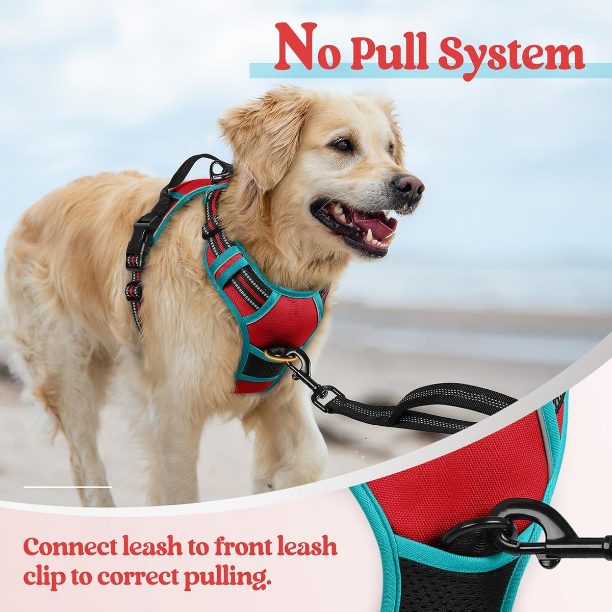 rabbitgoo Dog Harness No Pull with 2 Leash Clips, Adjustable Soft Padded, Reflective Oxford No