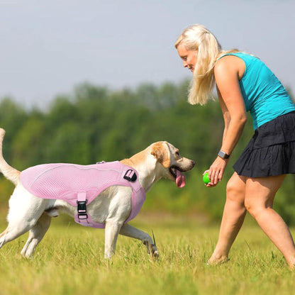Kuoser Dog Cooling Vest Harness, Small Puppy Cooler Jacket with Adjustable Buckle for Outdoor