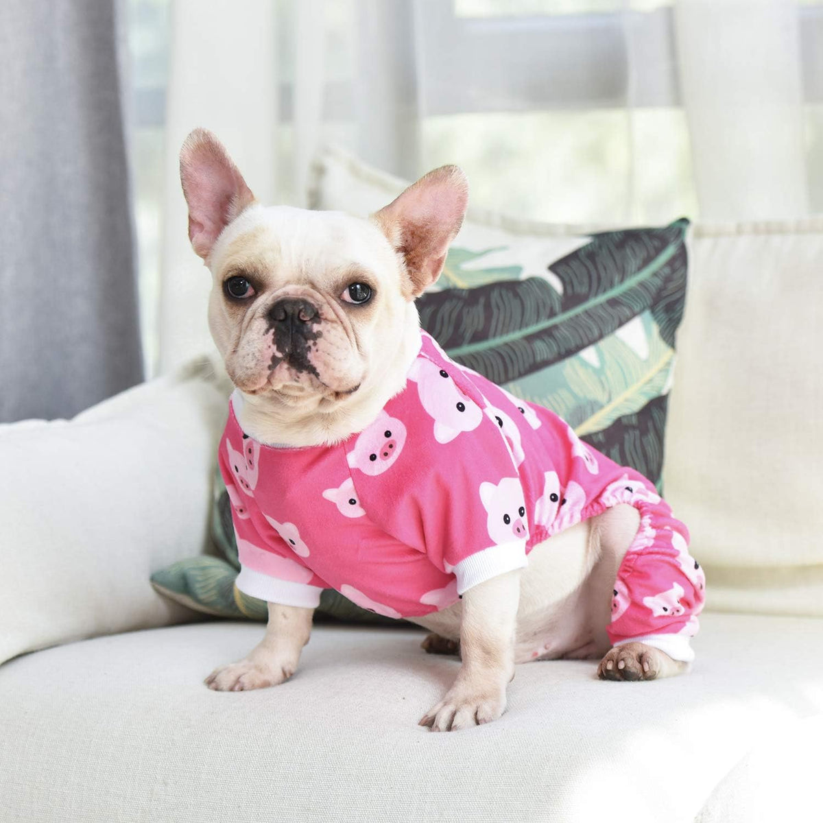 CuteBone Dog Halloween Pajamas Puppy Onesies Small Dogs Soft Pjs Coat Cat Apparel Comfy Pet