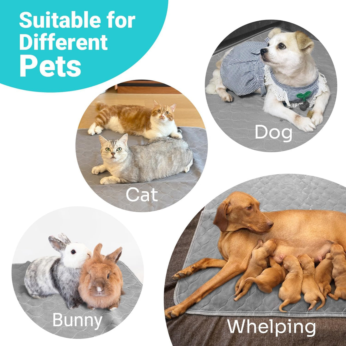 Conkote Reusable Pee Pads for Dogs Extra Large 48" x 60", Heavy Absorbency Washable Pee Pads