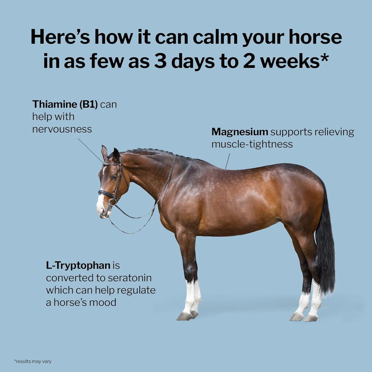 Formula 707 Calming Equine Supplement, Daily Fresh Packs – Anxiety Relief and Enhanced Focus for