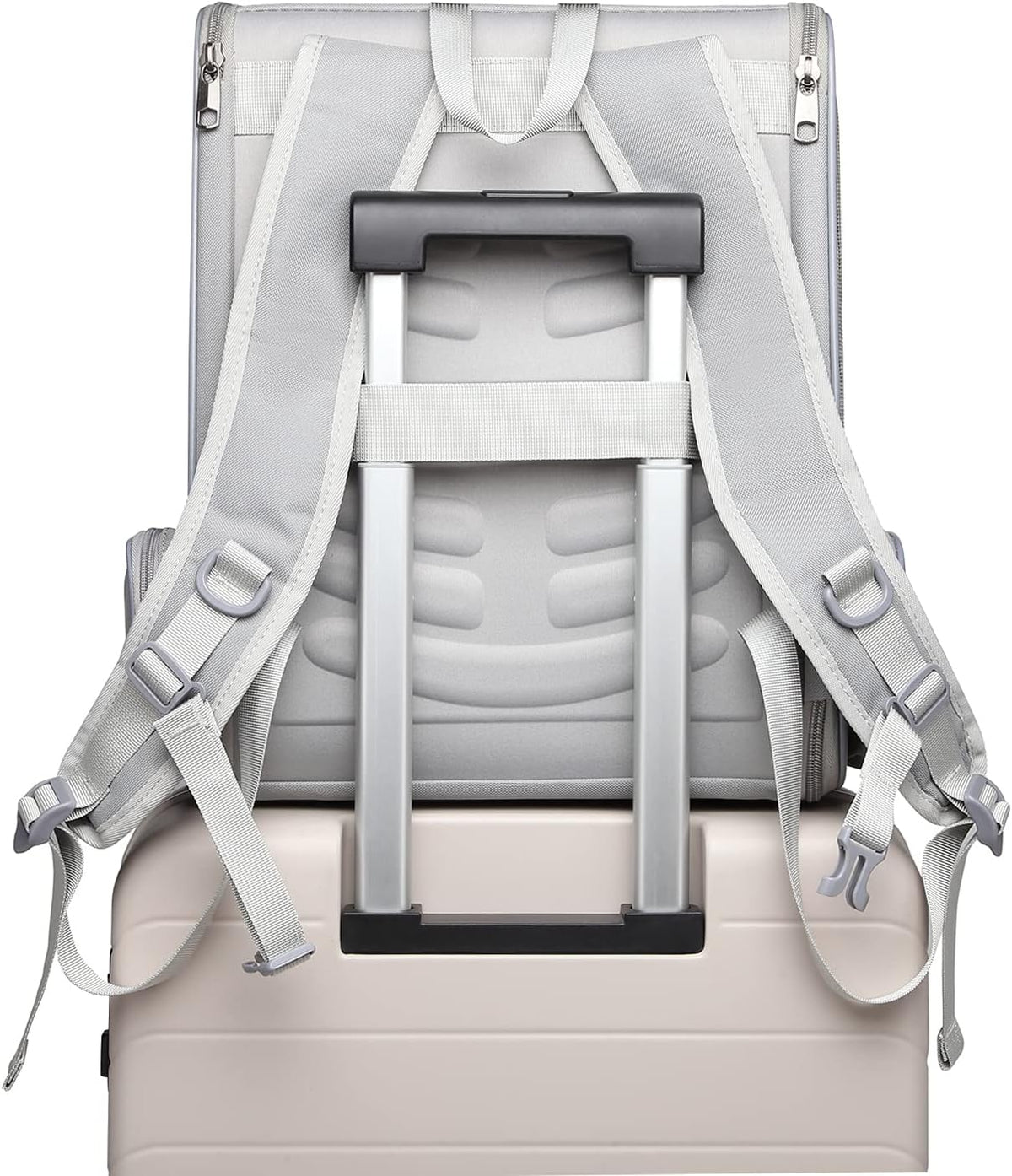 Texsens Pet Backpack Carrier for Small Cats Dogs | Ventilated Design, Safety Straps, Buckle