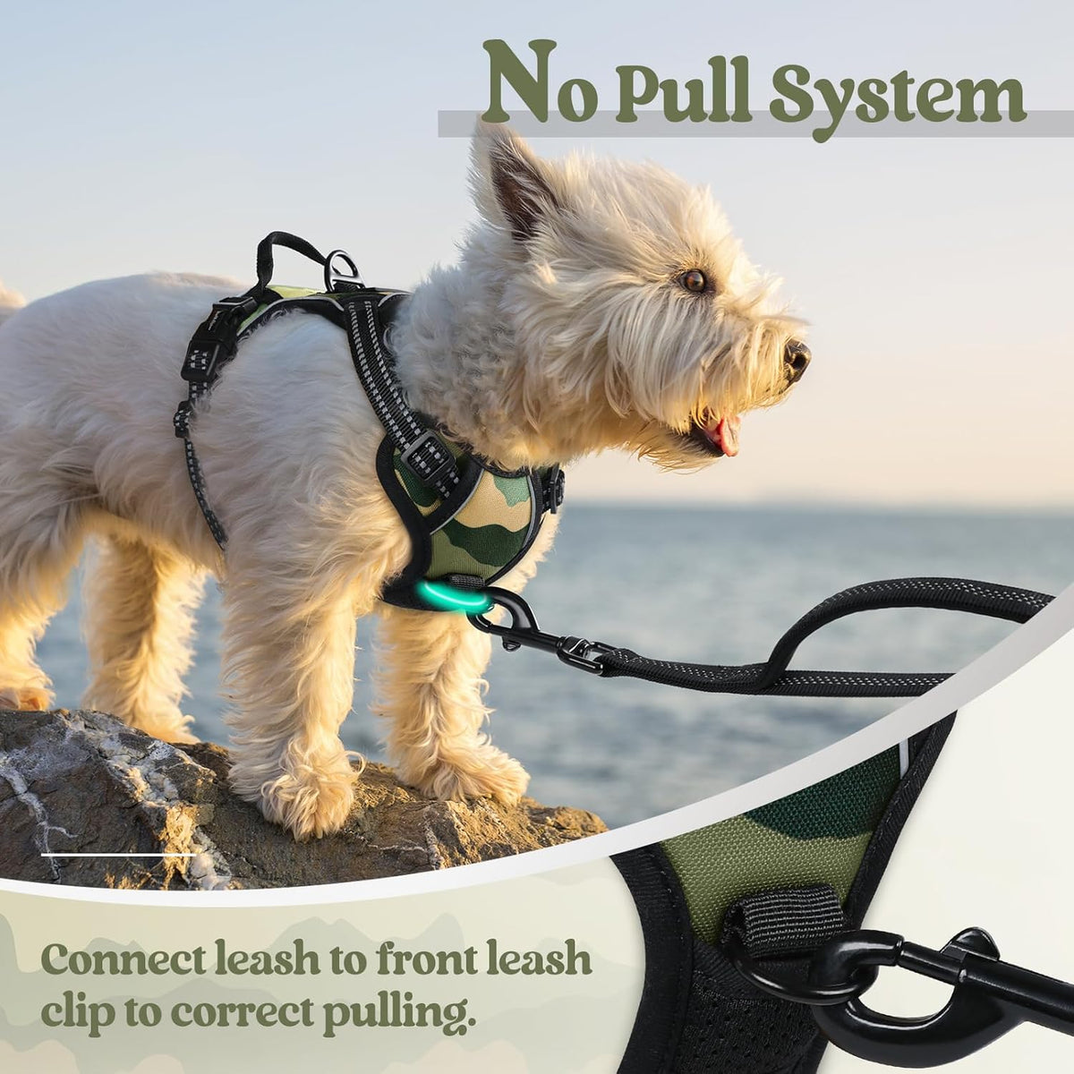 rabbitgoo Dog Harness No Pull with 2 Leash Clips, Adjustable Soft Padded, Reflective Oxford No