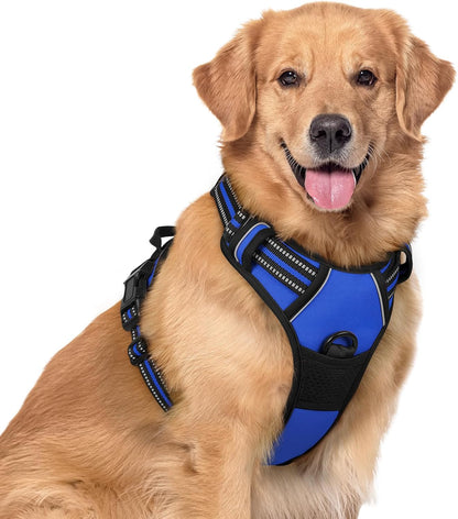 rabbitgoo Dog Harness No Pull with 2 Leash Clips, Adjustable Soft Padded, Reflective Oxford No