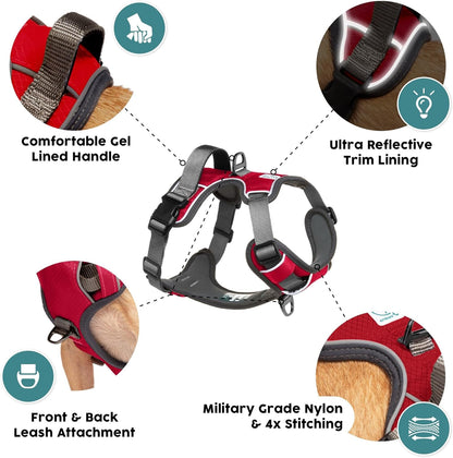 Embark Adventure Dog Harness, Reflective Trim No Pull Dog Harnesses for Small Sized Dogs - Military