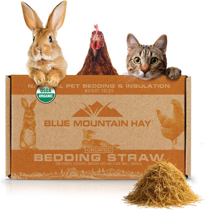 Blue Mountain Hay | Organic Bedding Straw (10 lb) | Natural Pet Bedding & Insulation for Rabbits