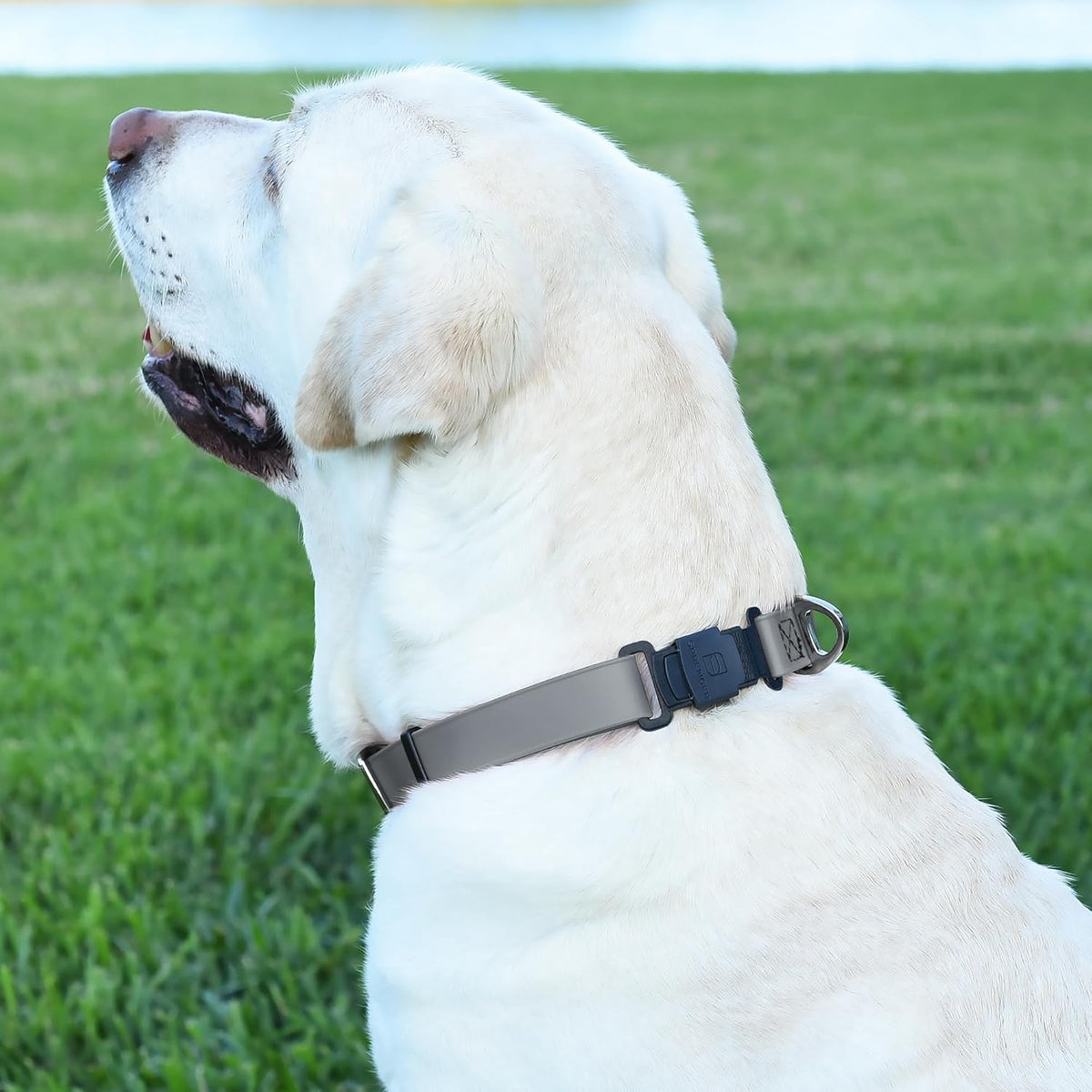 Dogline Biothane Waterproof Dog Collar with Herm Sprenger Stainless Steel Quick Release Buckle