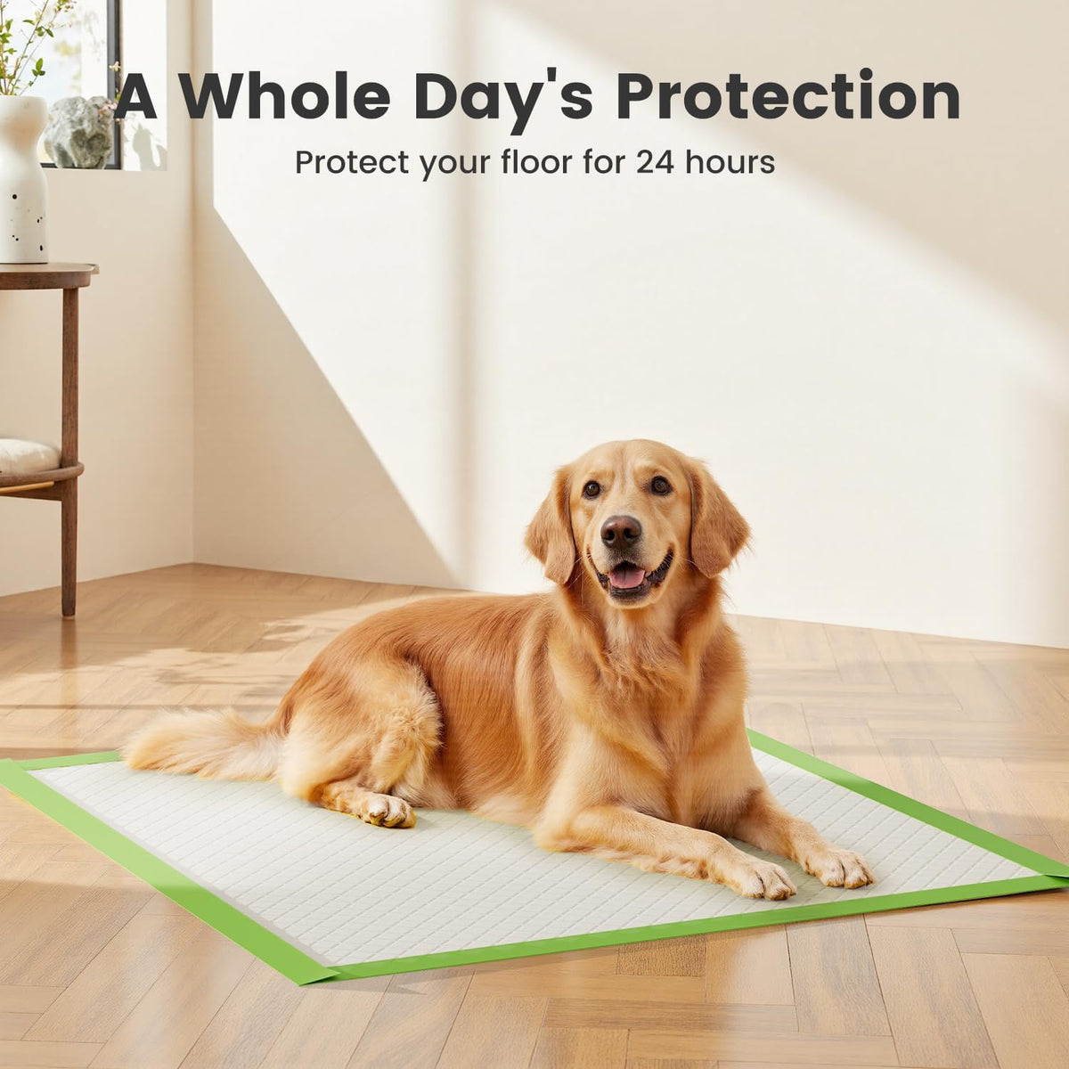 Gardner Pet Dog Pee Pads Extra Large 28"x34", XL Thicker ECO Green Disposable Puppy Training Pads