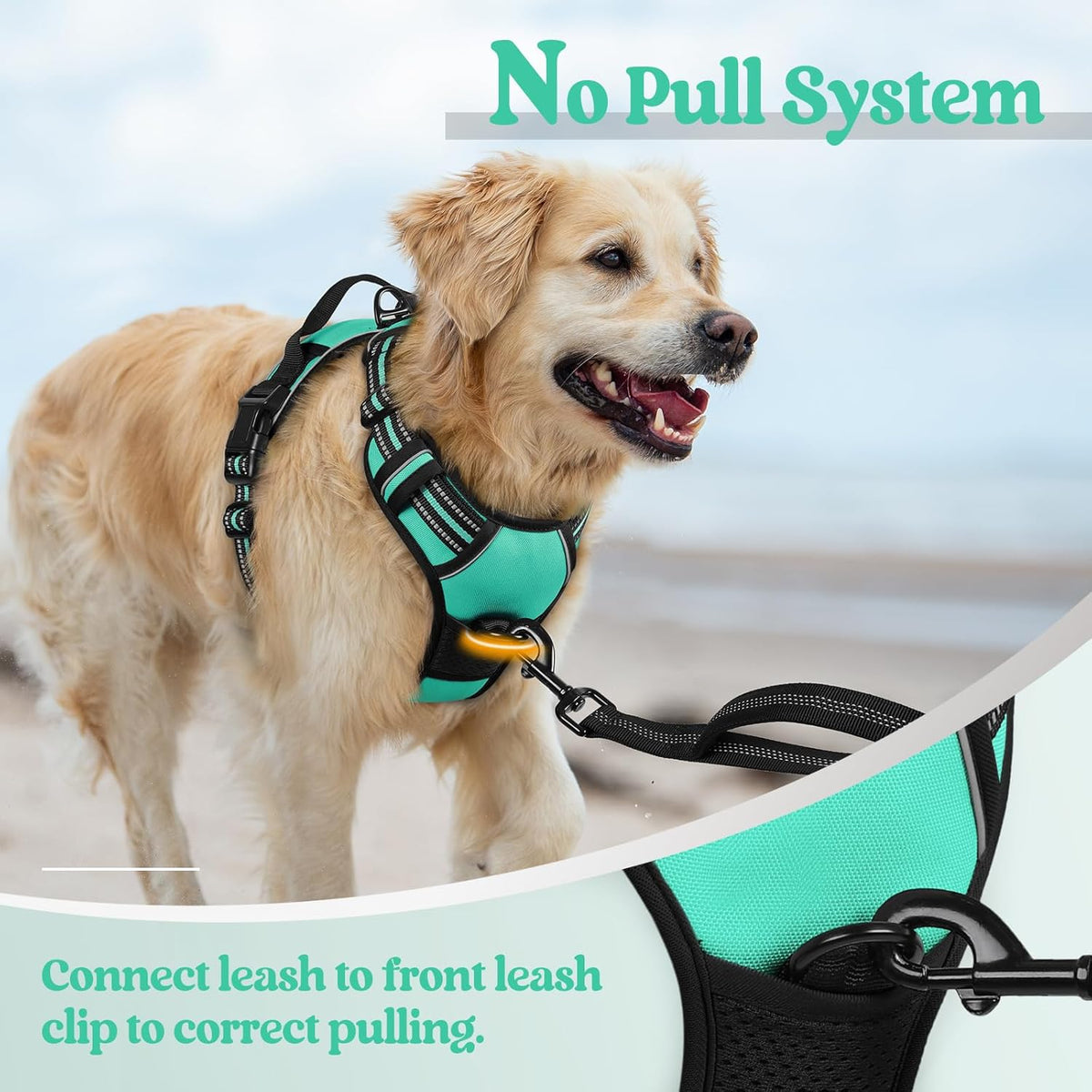 rabbitgoo Dog Harness No Pull with 2 Leash Clips, Adjustable Soft Padded, Reflective Oxford No