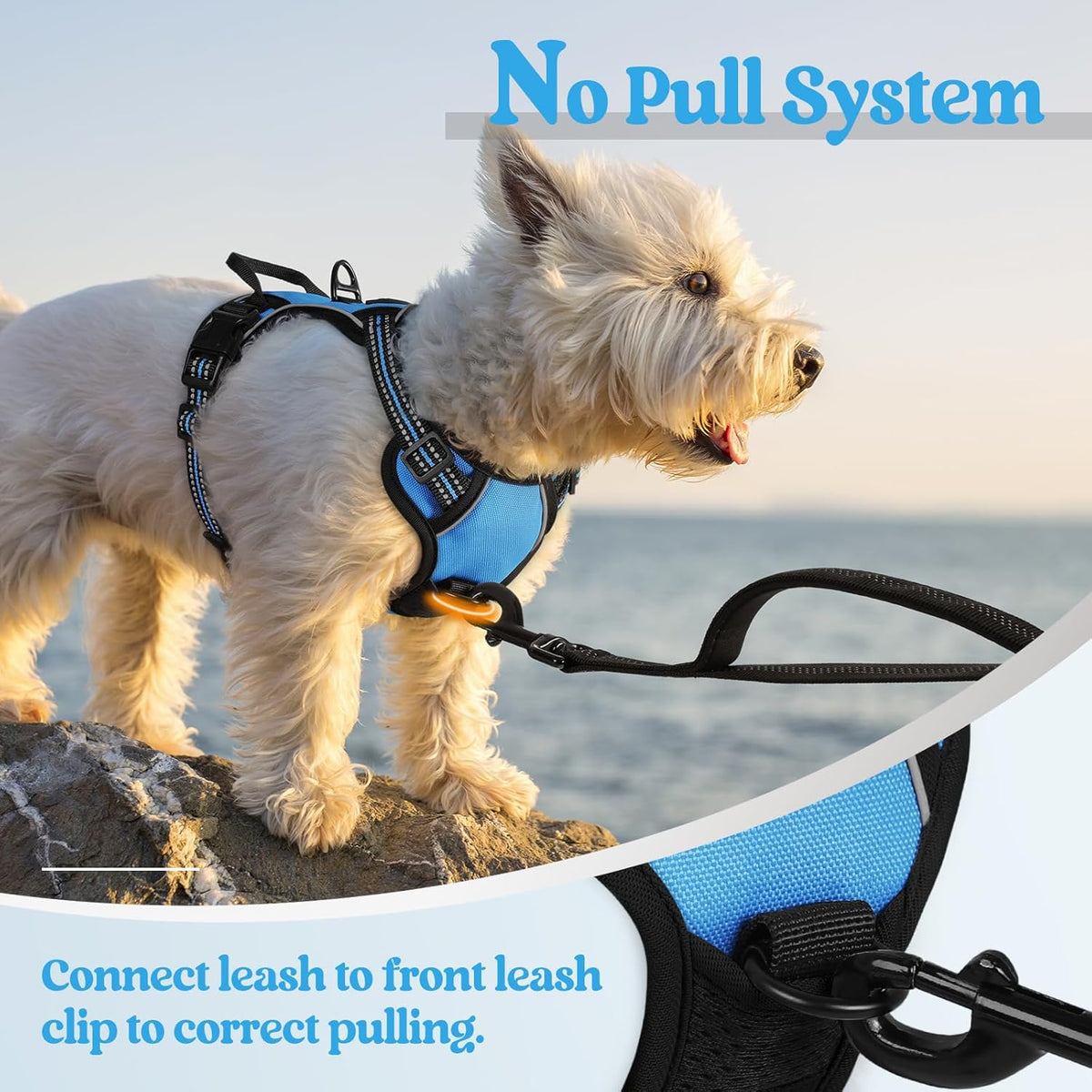 rabbitgoo Dog Harness No Pull with 2 Leash Clips, Adjustable Soft Padded, Reflective Oxford No