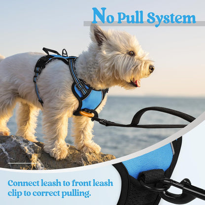 rabbitgoo Dog Harness No Pull with 2 Leash Clips, Adjustable Soft Padded, Reflective Oxford No