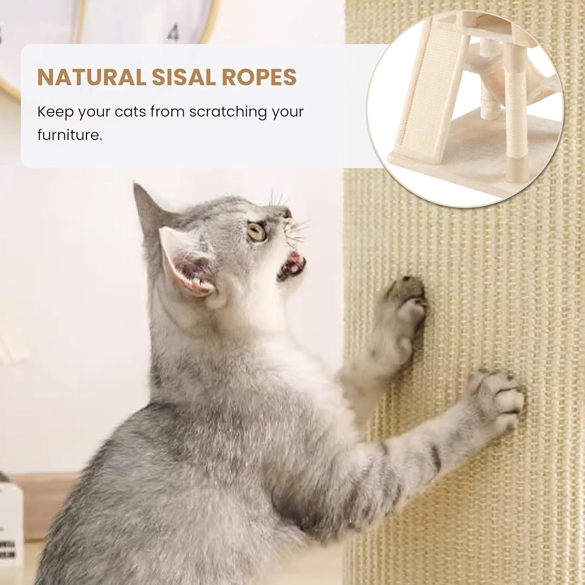 SHA CERLIN 65in Larger Cat Tree Tower Condo for Indoor Kitties/Multi-Level Furniture Activity