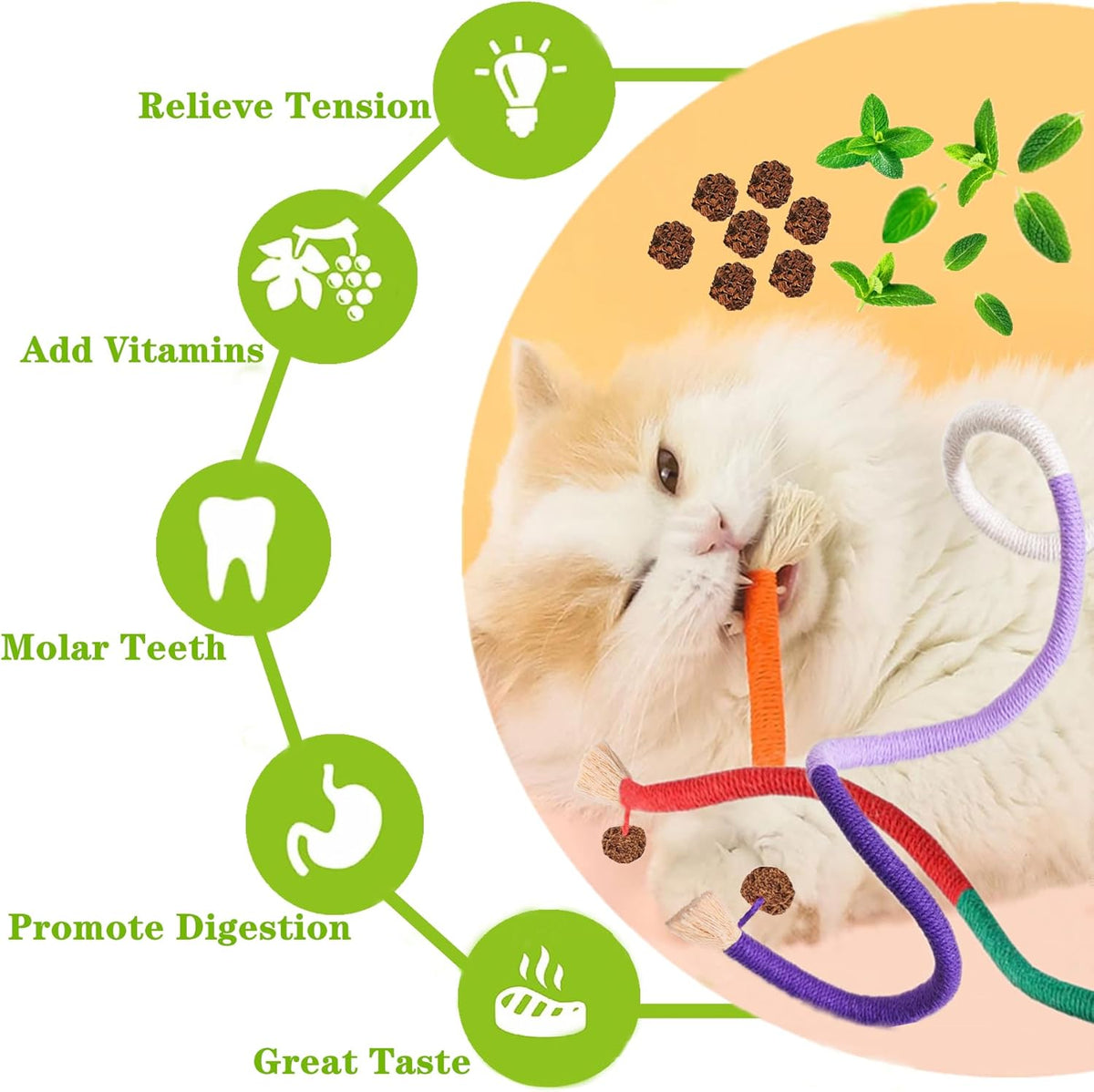 Cat Toys 21PCS Catnip Toy for Indoor Kitten Treat Cats Chew Stick for Dental Cleaning Teeth Kitten