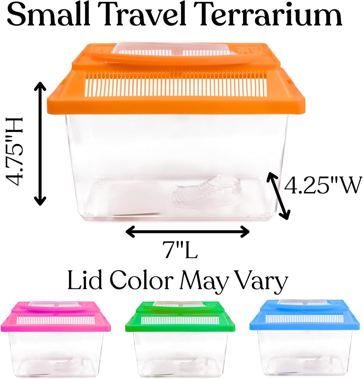 Needzo Mini Neon Plastic Reptile Carrier, Small Terrariums for Hermit Crabs, Lizards, and More with