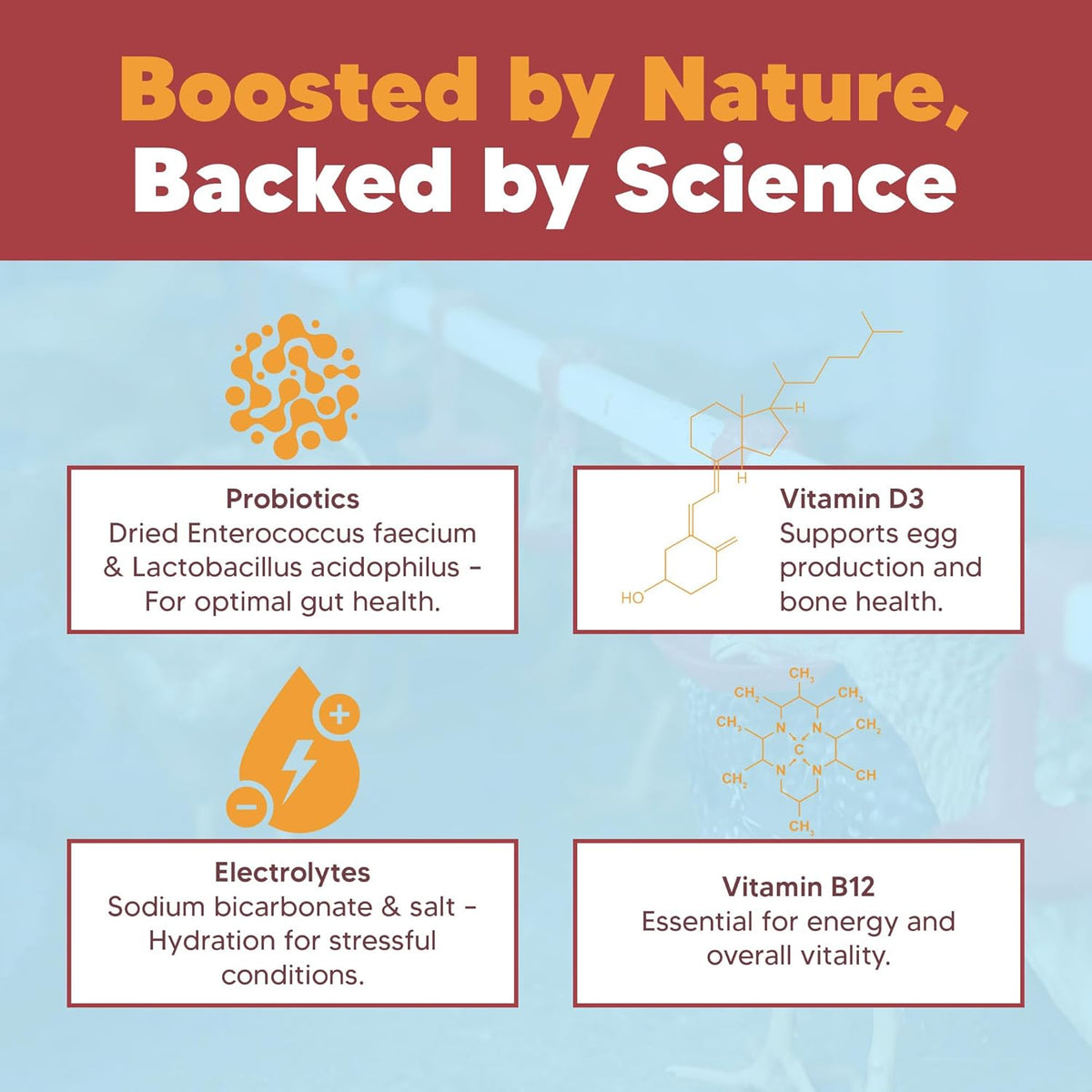 Flock PRO Hen Boost - Digestive Supplement for Hens | Chicken Vitamins and Supplements |