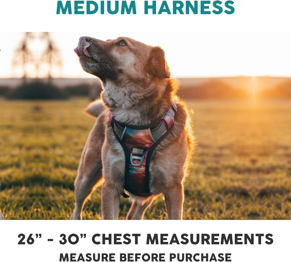Embark Adventure Dog Harness, Reflective Trim No Pull Harness for Medium Sized Dog - Military Grade