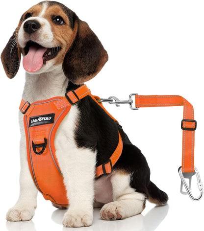 Dog Seat Belt Harness for Car, Dog Car Harness Adjustable Mesh Breathable & Dogs Seatbelt Safety