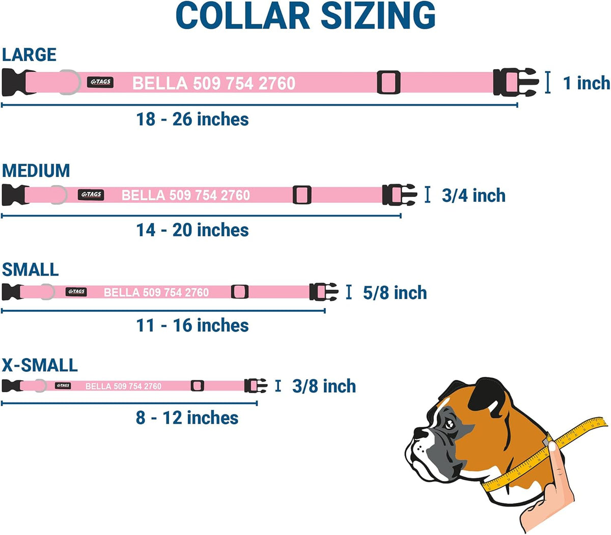 GoTags Personalized Dog Collar with Nameplate, Adjustable Dog Collar with Custom Engraved Slide On