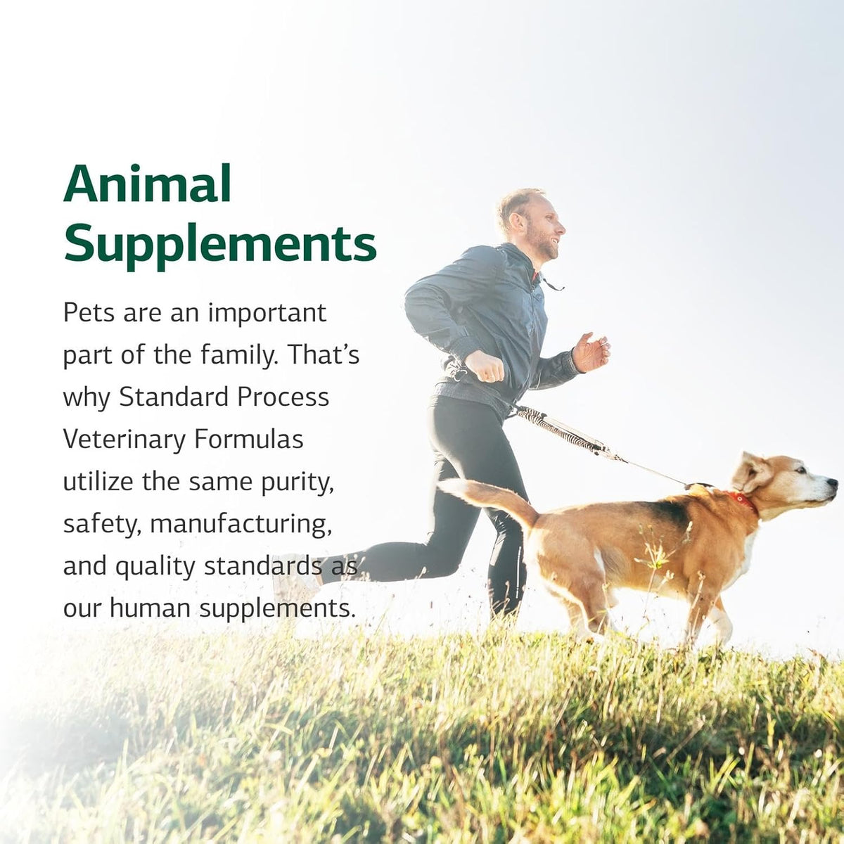 Standard Process Inc. Canine Flex Support - Joint & Immune Health Supplement for Dogs - Chewable