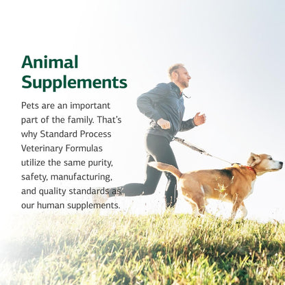 Standard Process Inc. Canine Flex Support - Joint & Immune Health Supplement for Dogs - Chewable